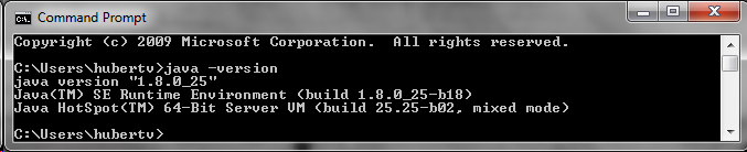 Java version